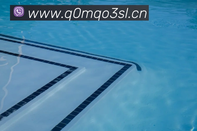 App Interface Preview