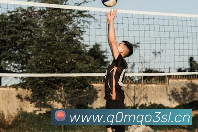 星空体育在线登录入口APP 封面图